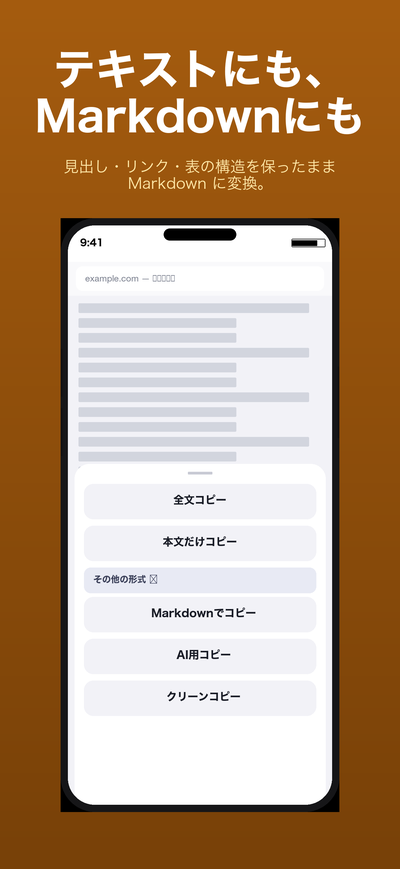 その他の形式